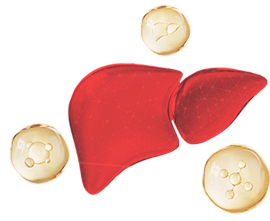 Конкуренция варфарина и обезболивающих препаратов за ферменты печени, приводящая к повышению концентрации варфарина в крови